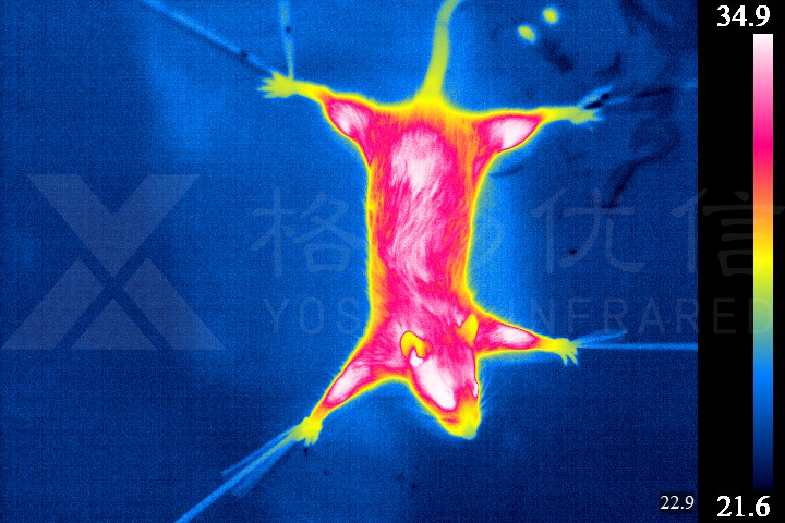 高速微距紅外熱像儀用于科研項目